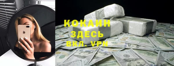 бошки Новодвинск