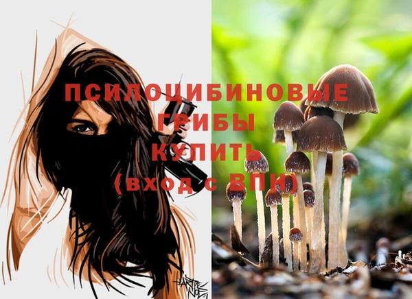 2c-b Нефтекумск