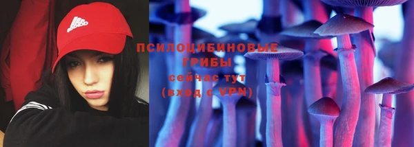 спайс Нея