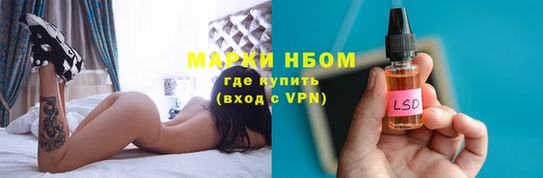 спайс Нея